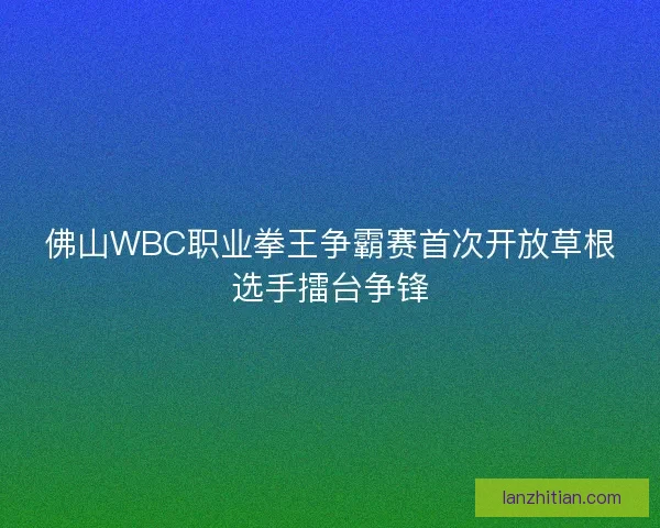佛山WBC职业拳王争霸赛首次开放草根选手擂台争锋 佛山WBC职业拳王争霸赛首次开放草根选手擂台争锋